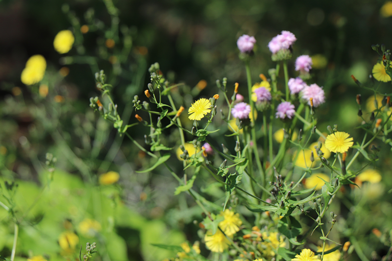 污染源管理系統(tǒng)軟件的功能目標(biāo)說明解讀